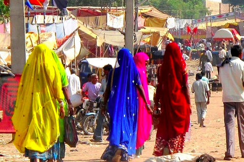 旅途中的在地情誼