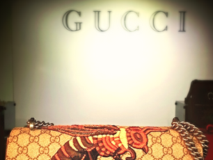文青也愛精品 Gucci ?