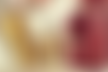 人如其名的柳燕