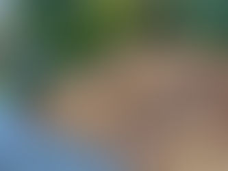 How to Save Time and Effort with Professional Leaf Cleanup Services by Thomas and Son Landscaping: A Complete Guide for Fall Yard Cleanup