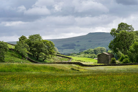 Yorkshire Dales landscape, Wensleydale