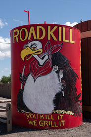 Roadkill! Route 66, Seligman