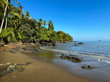 Beach, Drake's Bay