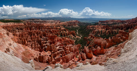 Amphitheatre Panorama, Bryce Canyon