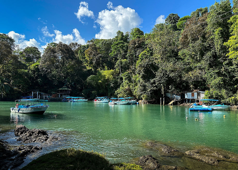 Drake's Bay