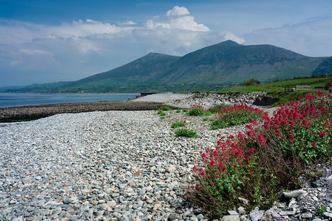 Trefor Beach