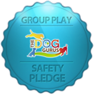 Group-play-safety-pledge.png