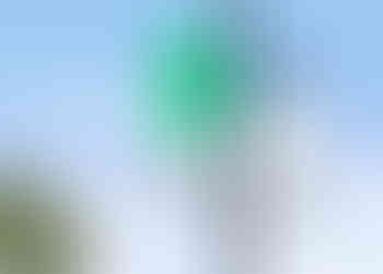 Canal Park Street Banner