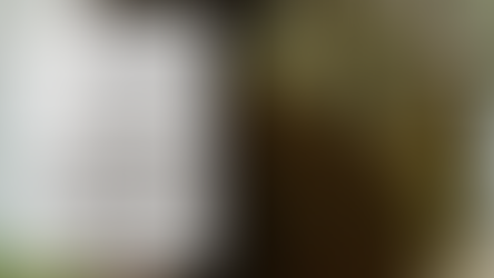 Why you need a bug out bag — not a bin or tote