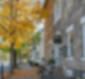 The Historic Front and brick lined sidewalk filled with the golden leaves of fall at The Inns at 8th and Main.