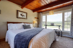 Meadow Cabin with king bed and views of the Black Hills.