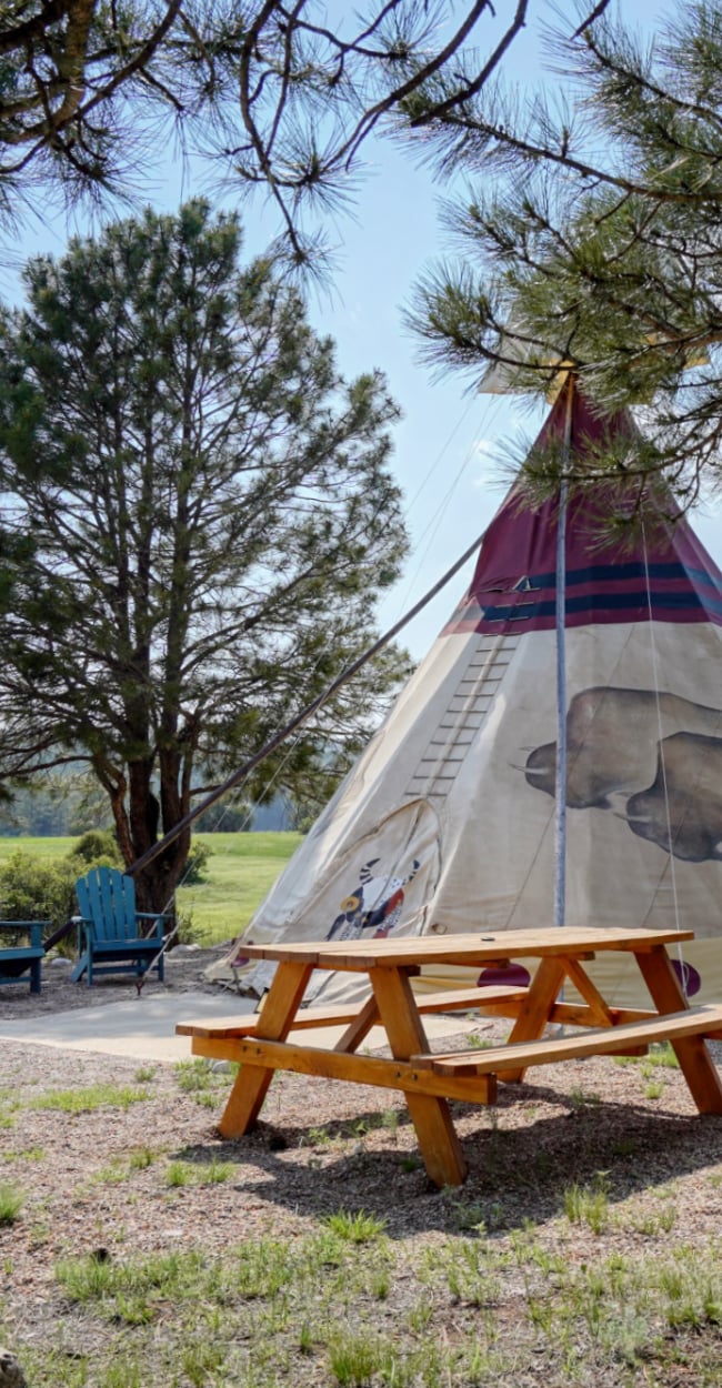 SPRY, image size:650x1250