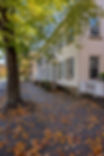 The Front of The Morris House in Fall with our brick lined street.