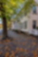 The Front of The Morris House in Fall with our brick lined street.