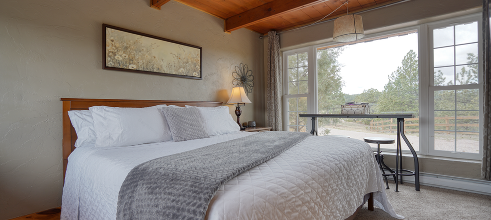 King bed in cabin for rent in Hot Springs, South Dakota.