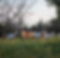 IMG_5354.jpeg
