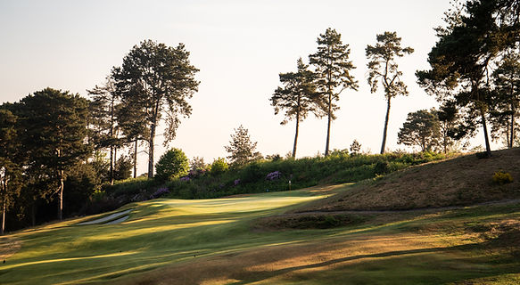 The Addington1 copy.jpg