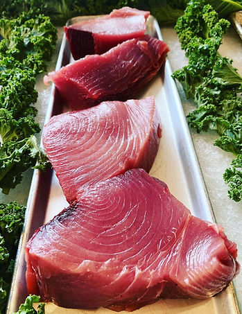 newsletter tuna final.jpeg