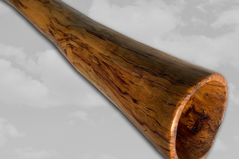 Didgeridoo SDA seite