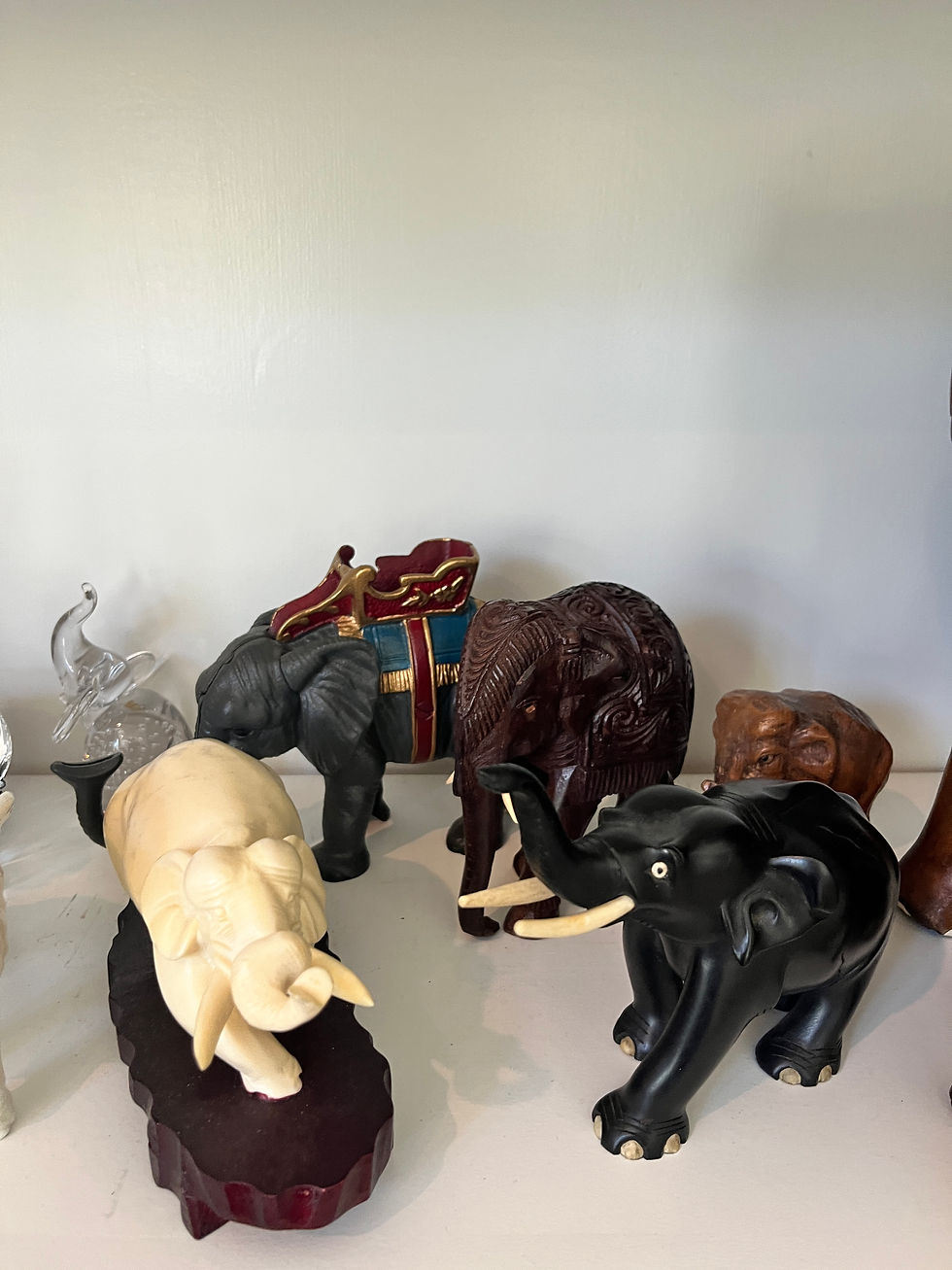 Elephant lot image