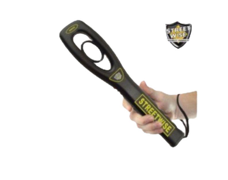 metaldetector_edited_edited.png