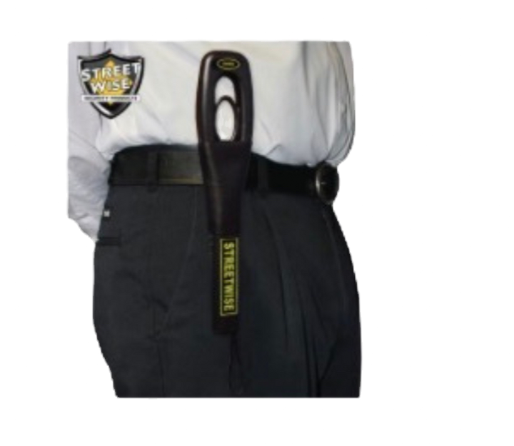 metaldetector_edited_edited.png