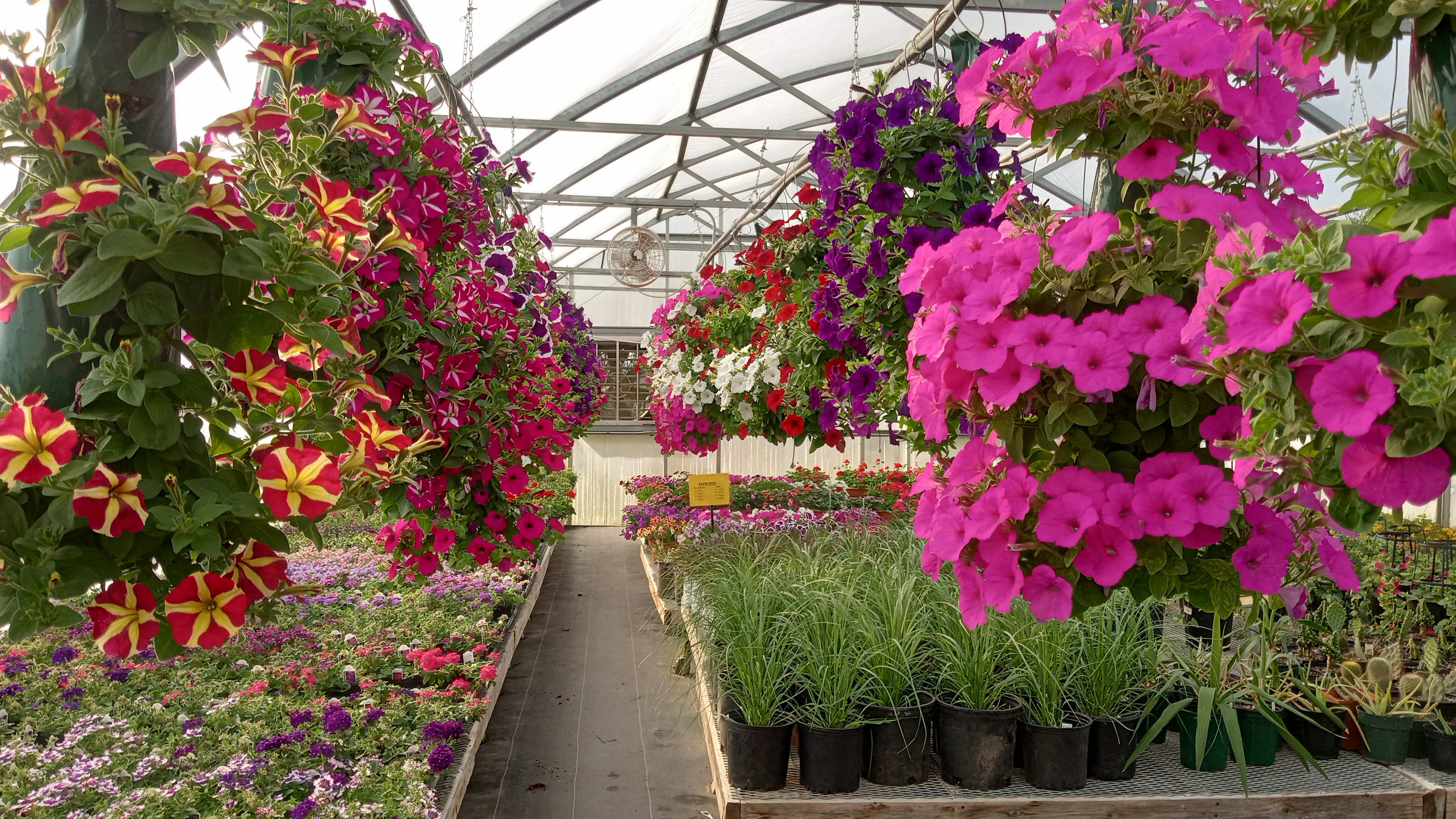 Writer: Jolivette Family Farms