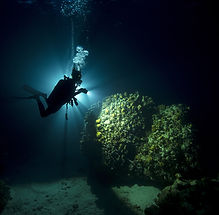 Divers explore a Playa del Carmen’s reef at night