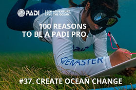 Instructor PADI en Playa del Carmen realiza un estudio de desechos marinos - crea un cambio en el océano