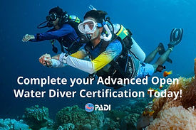 Dos buzos Advanced Open Water se deslizan sobre un arrecife colorido