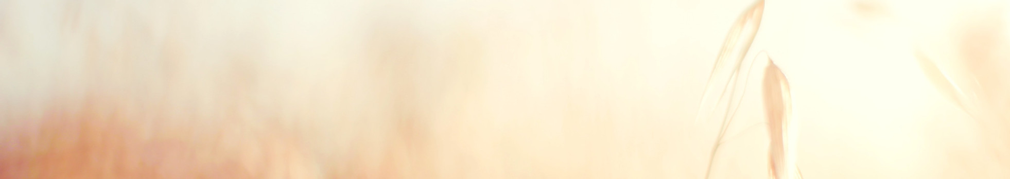 unsplash-UW2Fg5gMUBU_edited.jpg