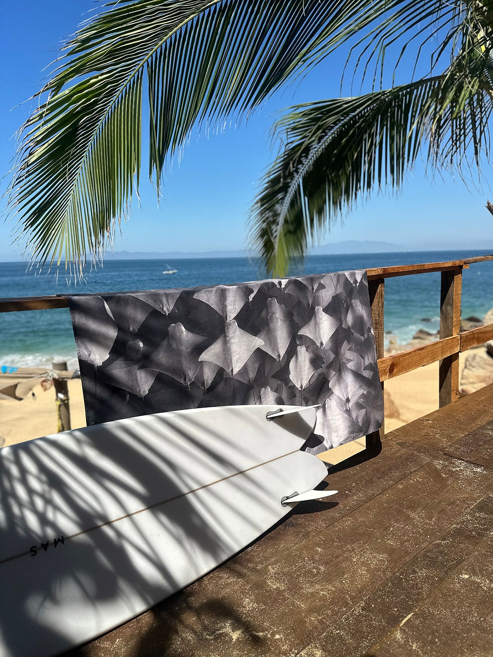Miniatura: Beach Towel Rayas en Casa