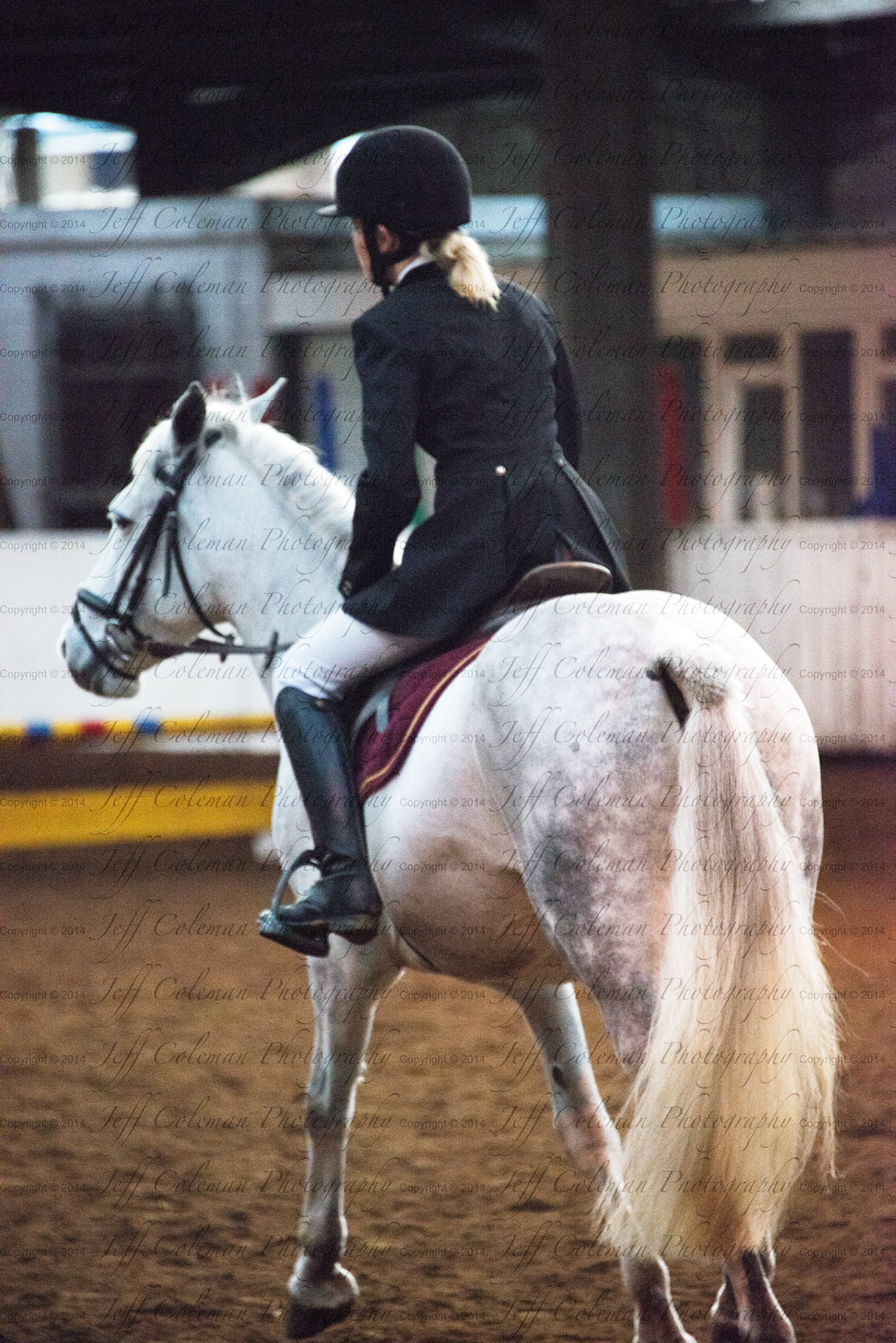 DSC_3347.jpg