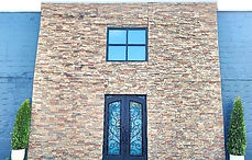 We Live Face Lift clip_edited.jpg