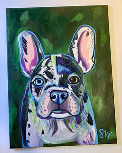 Frenchie