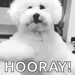 dog-dancing.gif