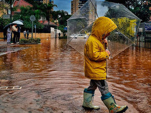אז מי אשם בהצפות החורף?