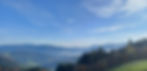 Schwarzwald.jpeg