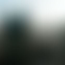 The Experienced Legal Guidance you can Trust