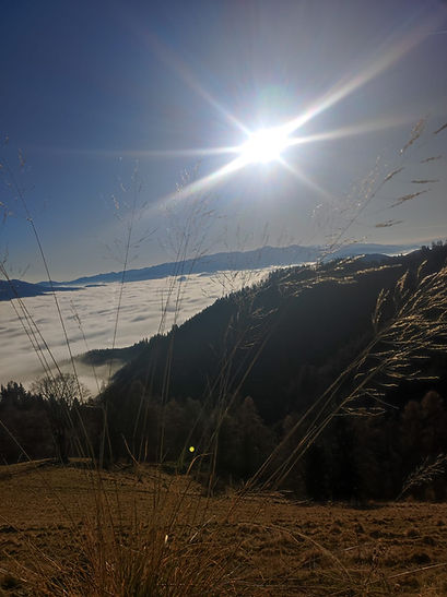 Yogische Winterpause.jpeg