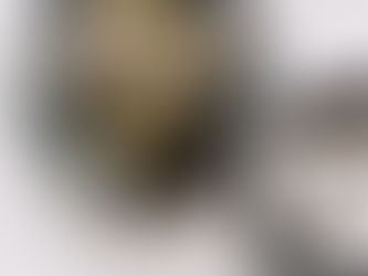 The Importance of Vitamins and Minerals in Reducing Injury Risk