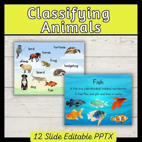 Thumbnail: Classifying Animals PowerPoint