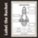 Label the Rocket