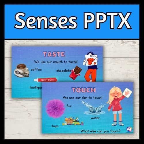 Thumbnail: The 5 Senses PPTX