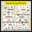 Animal Groups classroom display posters