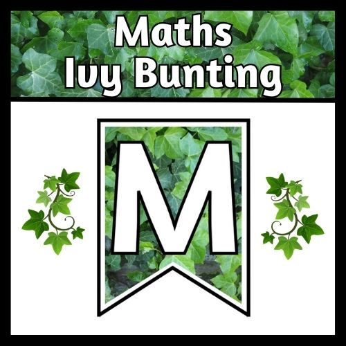Maths Ivy Bunting