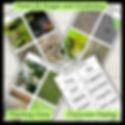 pond life images and vocabulary