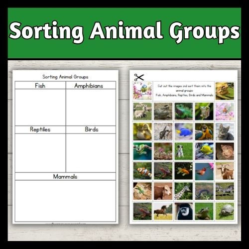 Sorting animals into groups