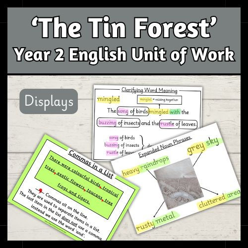 Thumbnail: The Tin Forest Unit of Work