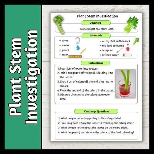 Working Scientifically | PrimaryResourceRack